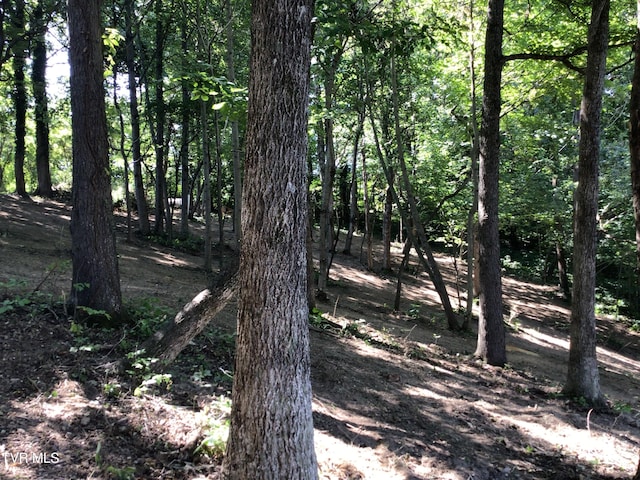 L24R Maple Crst, Greeneville, TN 37743