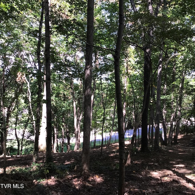 L24R Maple Crst, Greeneville, TN 37743