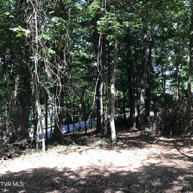 L24R Maple Crst, Greeneville, TN 37743