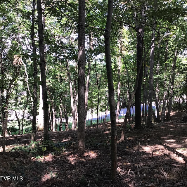 L24R Maple Crst, Greeneville, TN 37743
