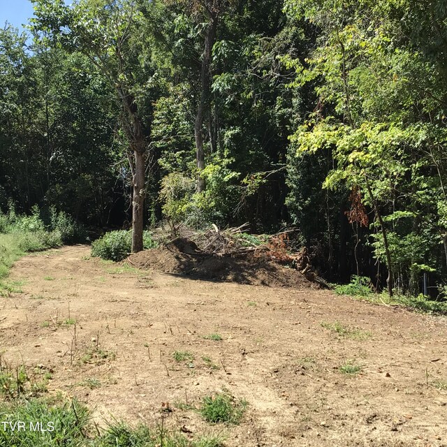 L24R Maple Crst, Greeneville, TN 37743