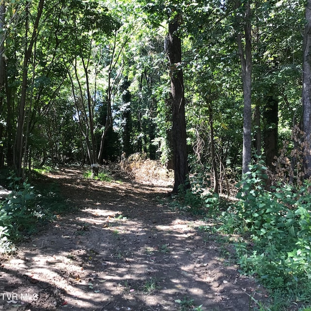 L24R Maple Crst, Greeneville, TN 37743