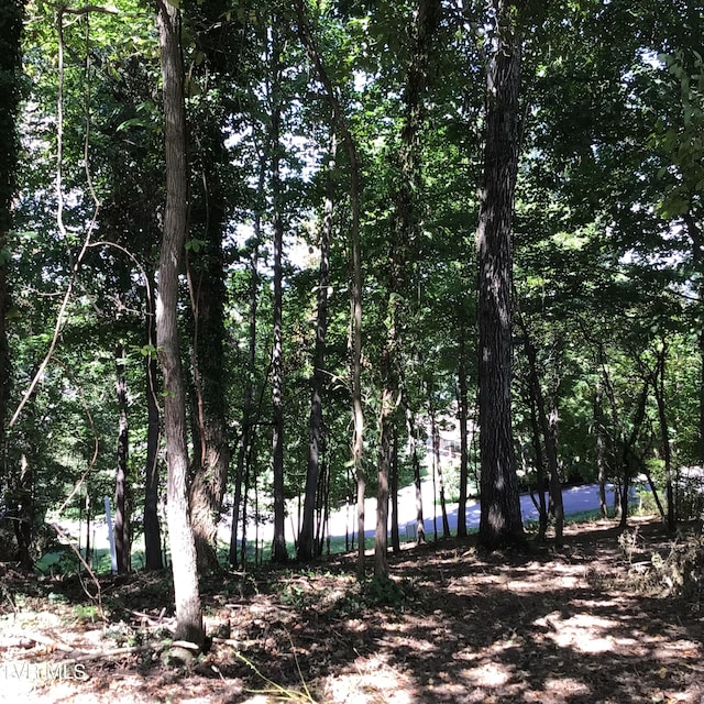 L24R Maple Crst, Greeneville, TN 37743