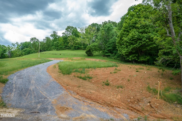 258 Knox Hollow Rd, Rogersville TN, 37857 land for sale