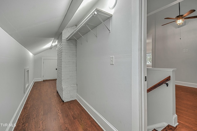 walk in closet featuring lofted ceiling, ceiling fan, and dark wood-type flooring