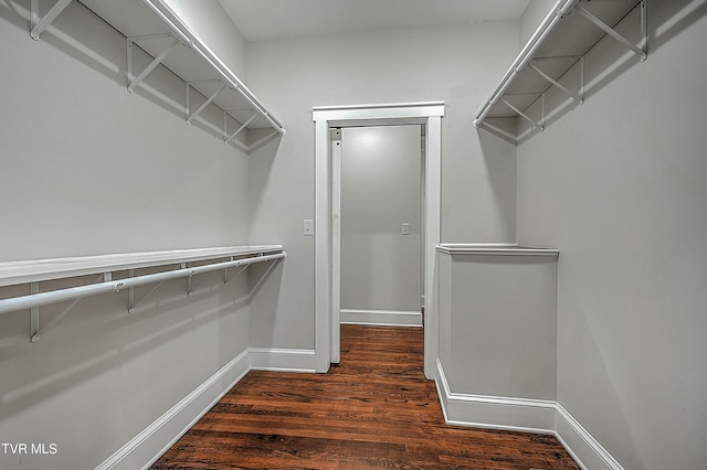 walk in closet with dark hardwood / wood-style flooring