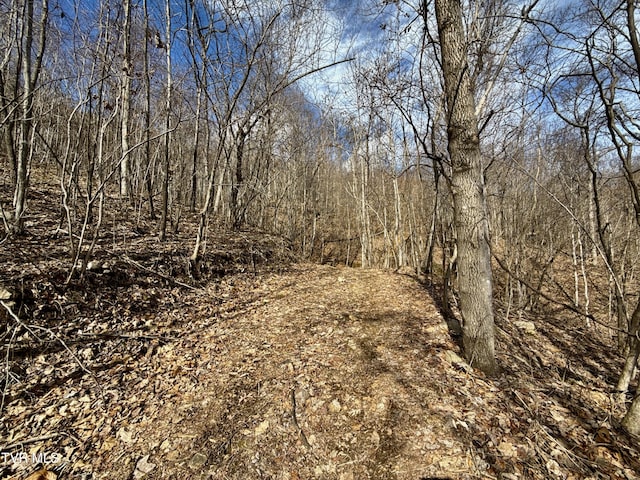 Listing photo 3 for LOT1 Caney Creek Ln, Greeneville TN 37745