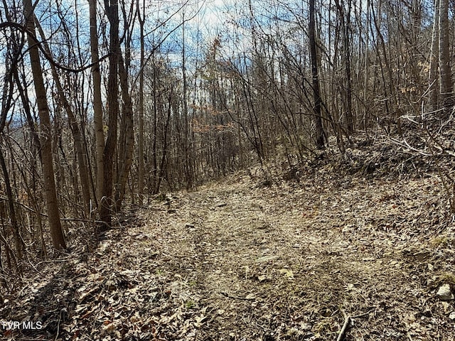 Listing photo 2 for LOT1 Caney Creek Ln, Greeneville TN 37745