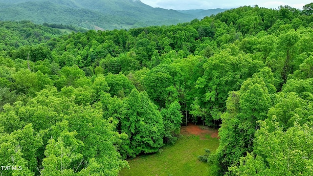 Listing photo 2 for 177 Fork Mountain Rd, Roan Mountain TN 37687