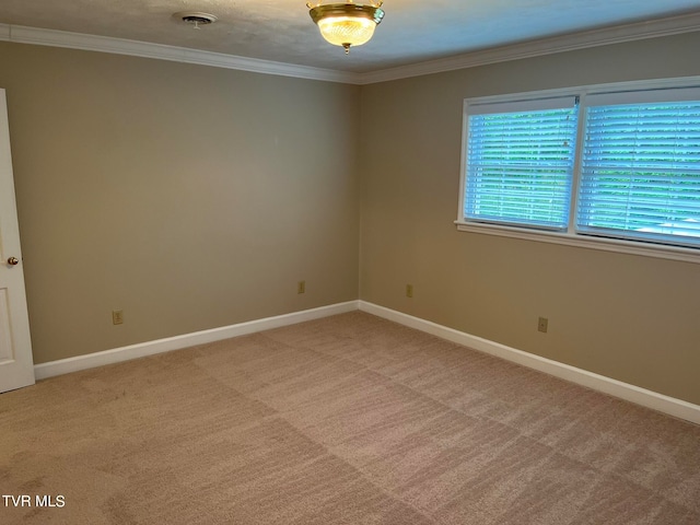 empty room featuring carpet and ornamental molding