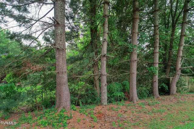 view of local wilderness