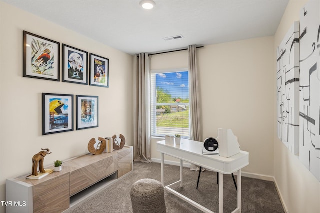 115 Raceday Center Dr Unit E-3, Bristol, TN 37620 - carpeted home office with baseboards and visible vents