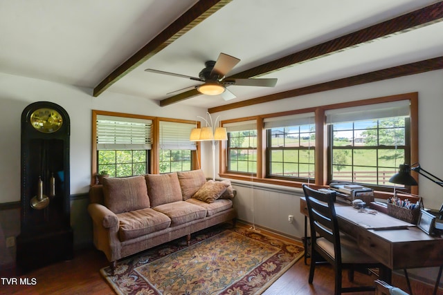 interior space with ceiling fan, dark hardwood / wood-style flooring, and beam ceiling