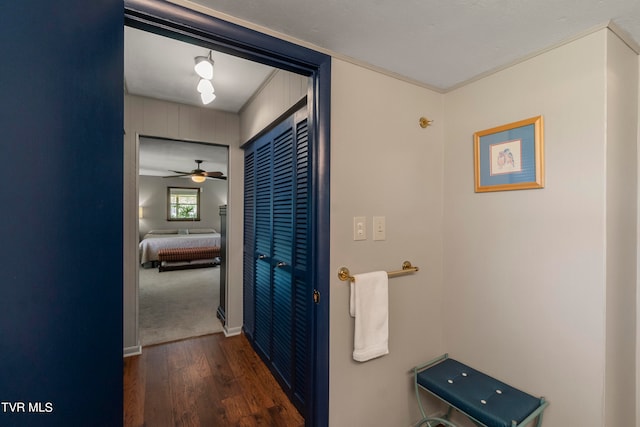 hall featuring dark hardwood / wood-style floors