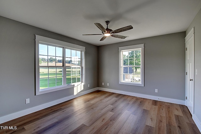 365 Greenwood Rd, Tusculum, TN 37616 - photo 31
