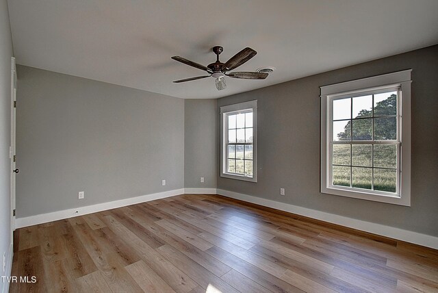 365 Greenwood Rd, Tusculum, TN 37616 - photo 39