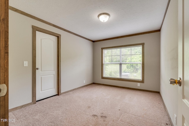 carpeted empty room featuring ornamental molding and a textured ceiling