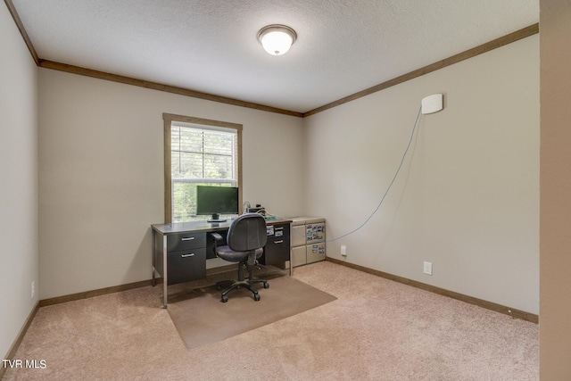 home office with light carpet, crown molding, and a textured ceiling