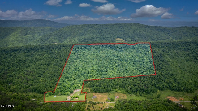 bird's eye view with a mountain view