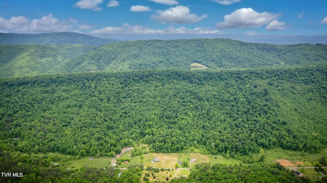 aerial view with a mountain view