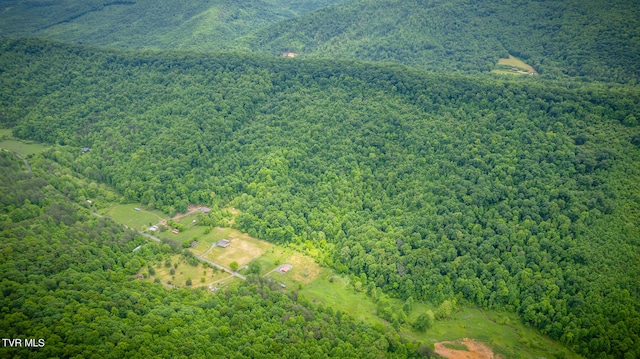 view of bird's eye view