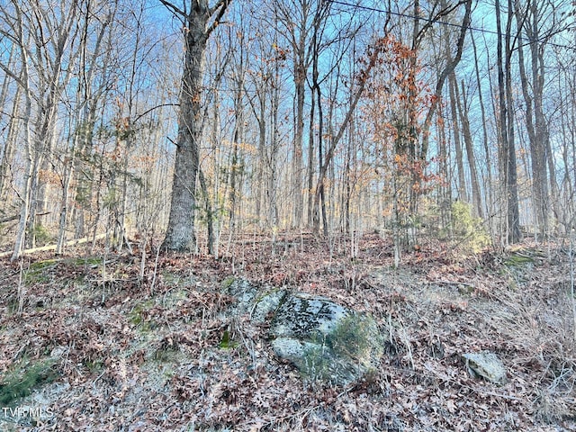 Listing photo 3 for TRACT7 Bundren Mountain Rd, Tazewell TN 37879