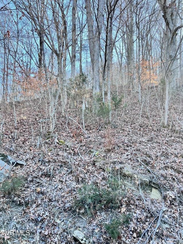 Listing photo 2 for TRACT7 Bundren Mountain Rd, Tazewell TN 37879