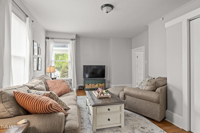 living room featuring wood-type flooring and crown molding