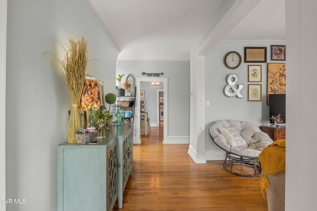 hallway featuring wood-type flooring