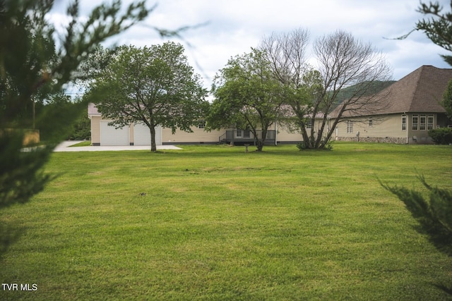 1466 Broad St, Elizabethton, TN 37643 - view of yard