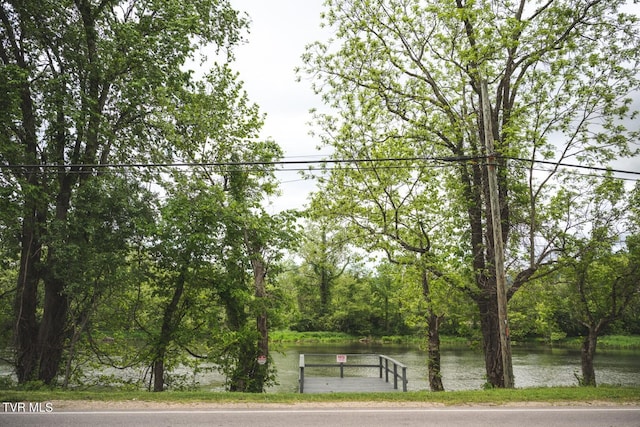 property view of water