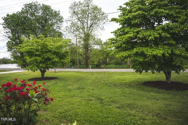 1466 Broad St, Elizabethton, TN 37643 - view of property's community with a lawn