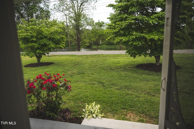 1466 Broad St, Elizabethton, TN 37643 - view of yard