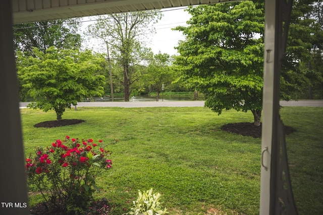 1466 Broad St, Elizabethton, TN 37643 - view of yard