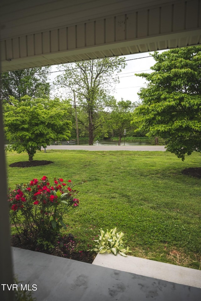 1466 Broad St, Elizabethton, TN 37643 - view of yard