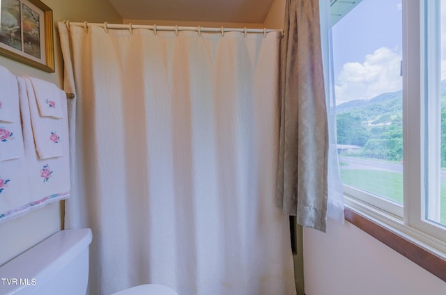 bathroom featuring a mountain view and toilet
