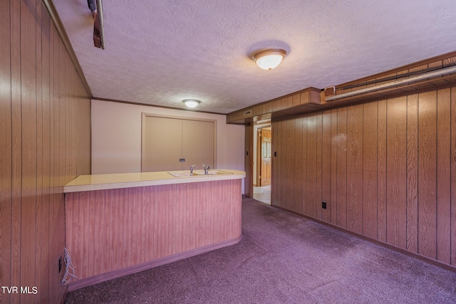 bar with wooden walls, sink, a textured ceiling, and dark colored carpet
