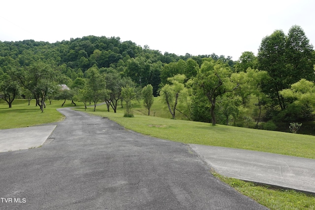 view of road