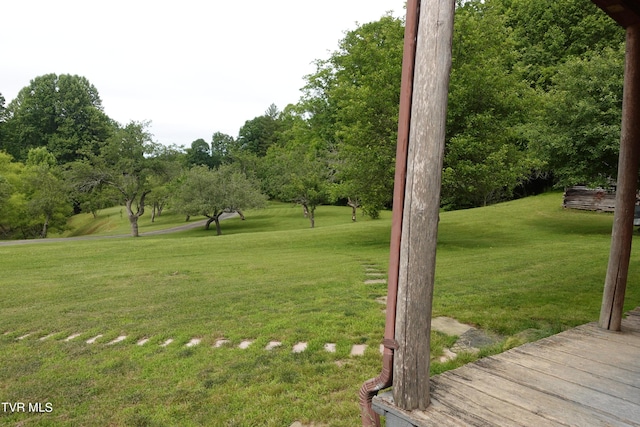 view of home's community featuring a yard