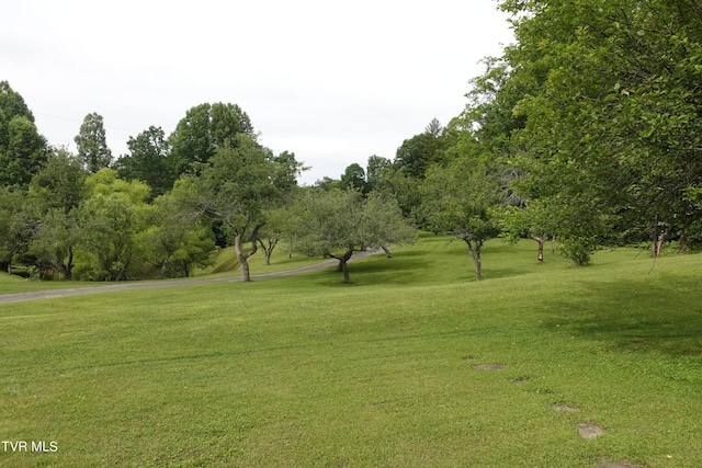 surrounding community featuring a yard