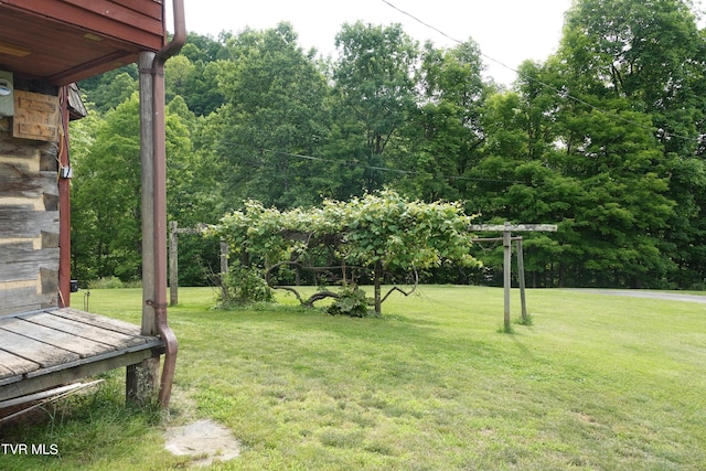 view of yard