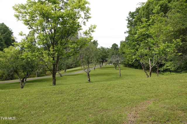 view of property's community with a lawn