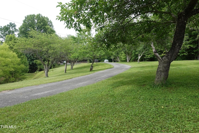 view of road