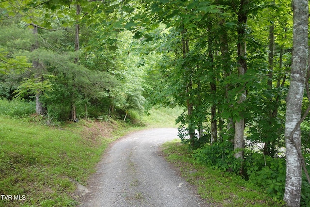 view of road