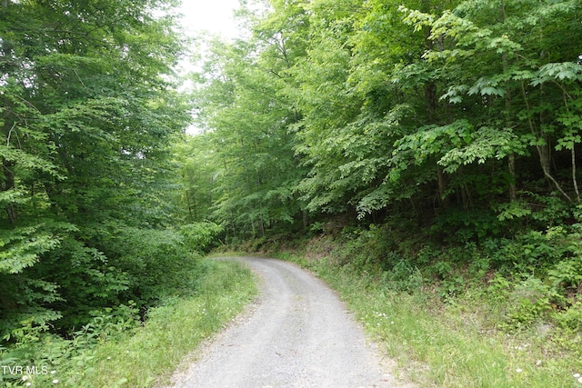 view of road