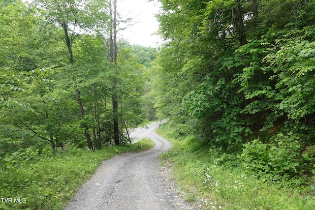 view of road