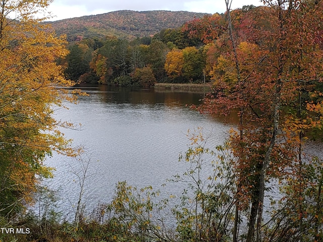 property view of water featuring a mountain view