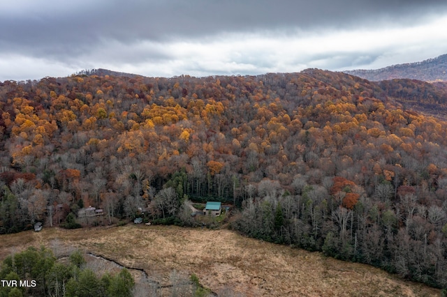 view of mountain feature