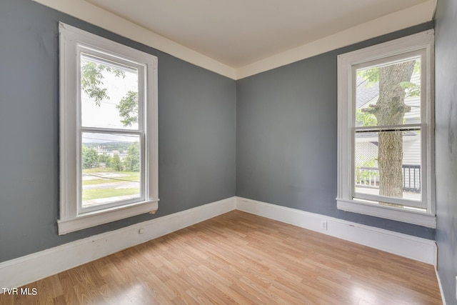 empty room with light wood-type flooring, baseboards, and plenty of natural light