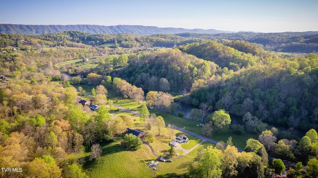 bird's eye view with a mountain view